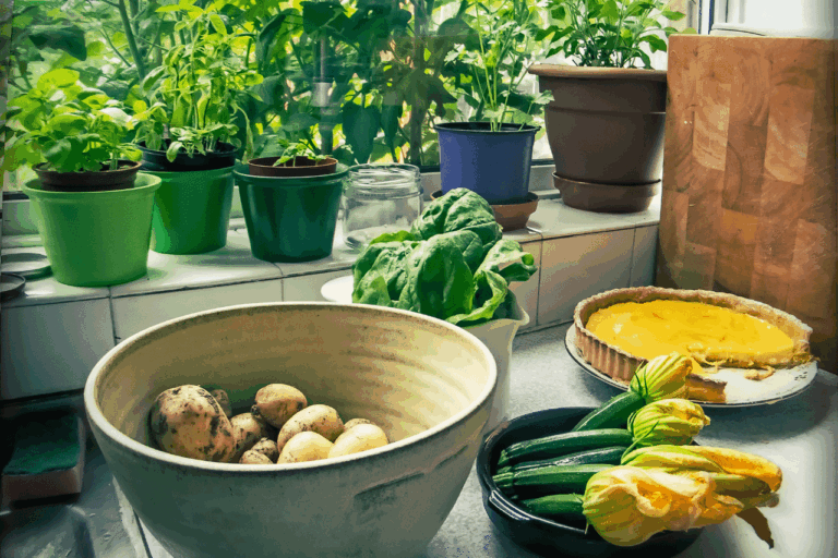 różnorodne świeże zioła w wiklinowym koszyku na drewnianym stole
